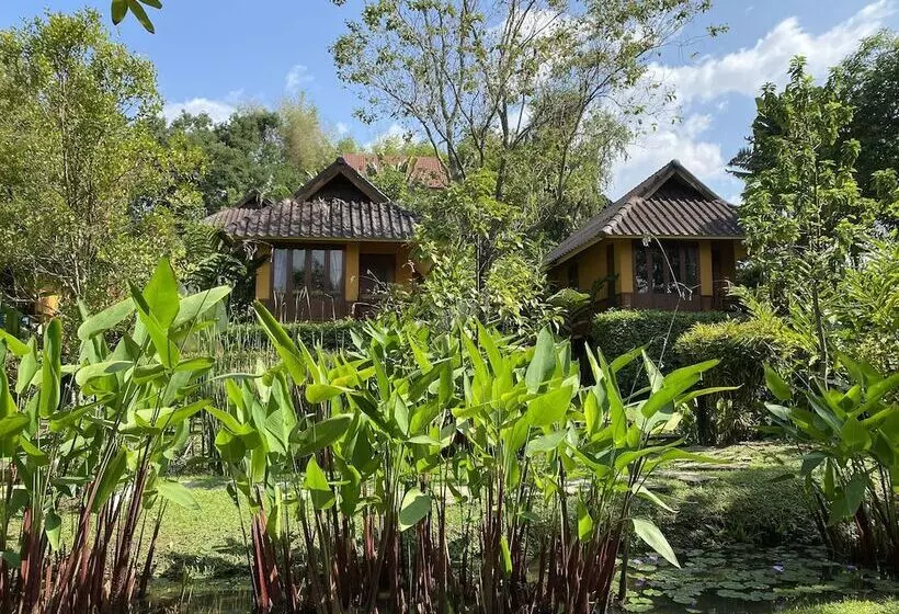 هتل Pura Vida Pai Resort