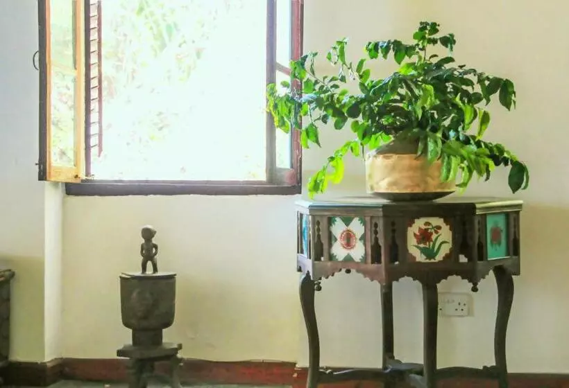 پانسیون Hiliki House