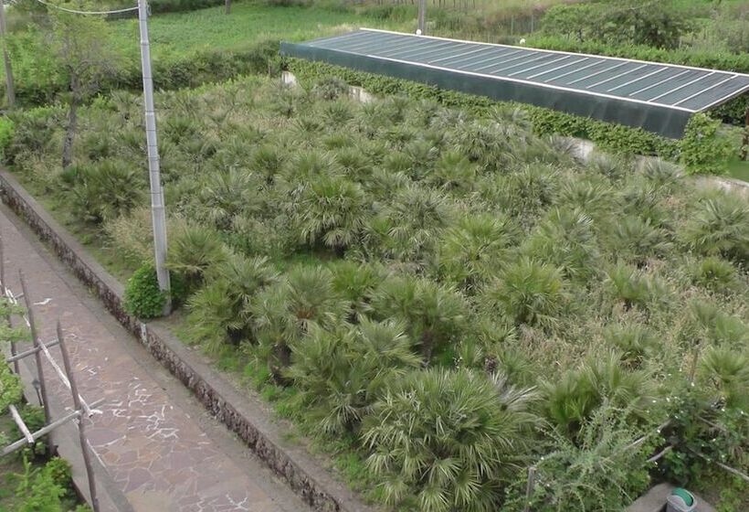 膳宿费 Villa Elisa