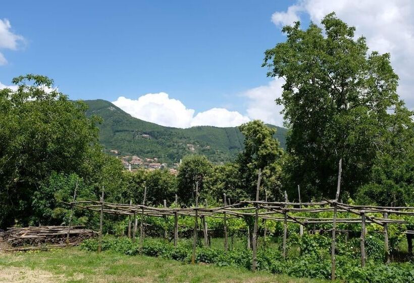 膳宿费 Villa Elisa