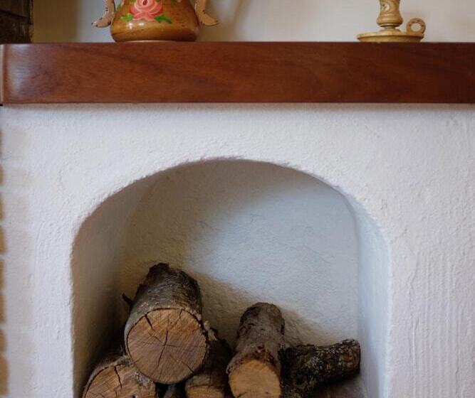 膳宿费 Villa Elisa