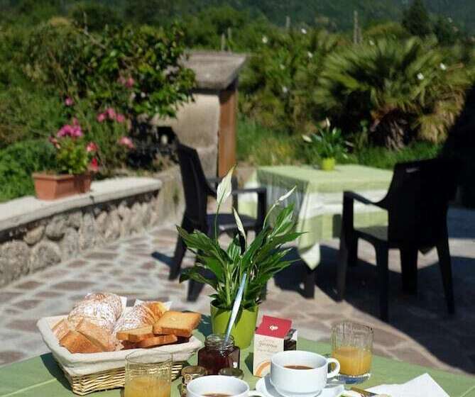 膳宿费 Villa Elisa