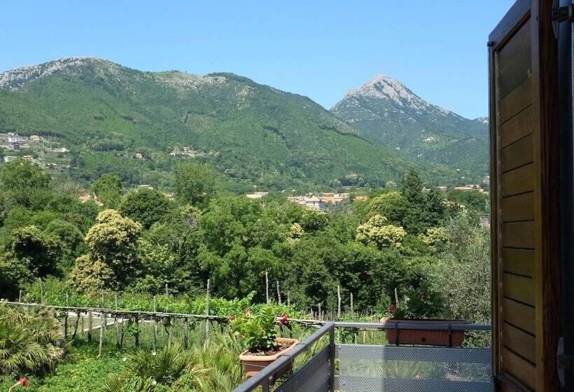 膳宿费 Villa Elisa