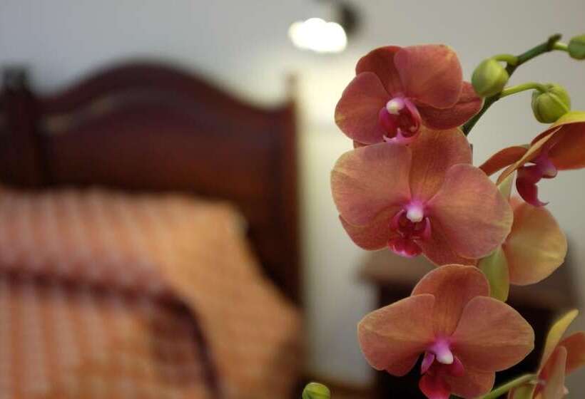 膳宿费 Villa Elisa