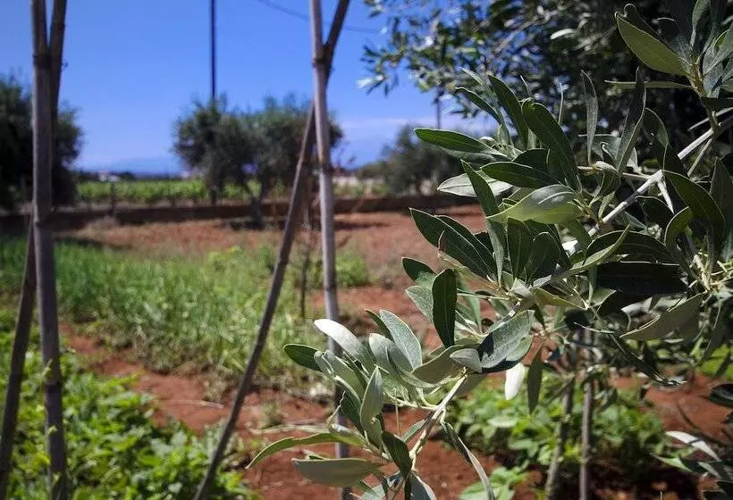 Skamagkas G. Apartments