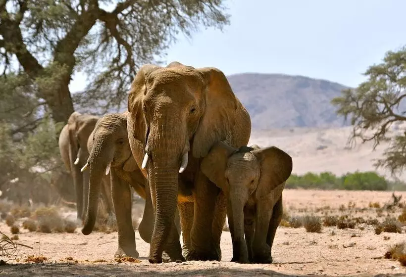 هتل Twyfelfontein Adventure Camp