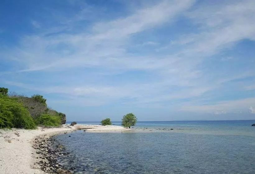 Eagle Point Beach And Dive Resort