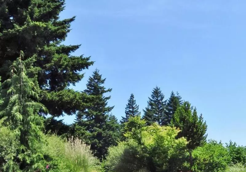 Hotel Carson Hot Springs Resort & Spa