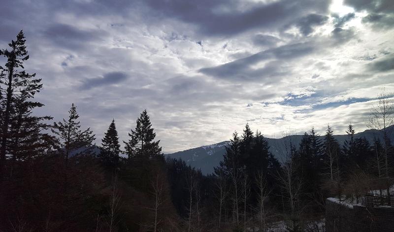 فندق Carson Hot Springs Resort & Spa