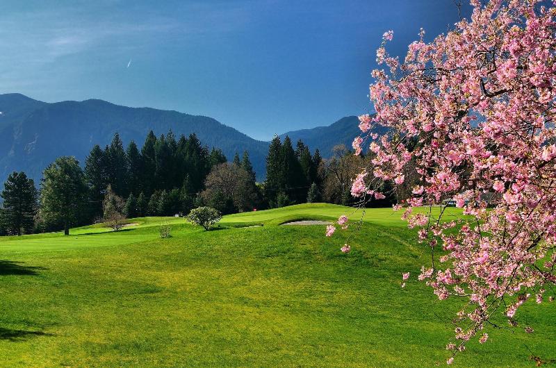 فندق Carson Hot Springs Resort & Spa