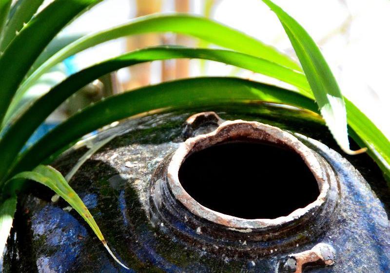 هتل Lvis Boutique