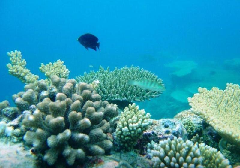 هتل Lvis Boutique