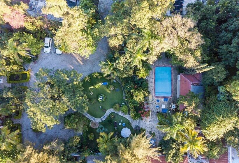 هتل Maxime Boutique