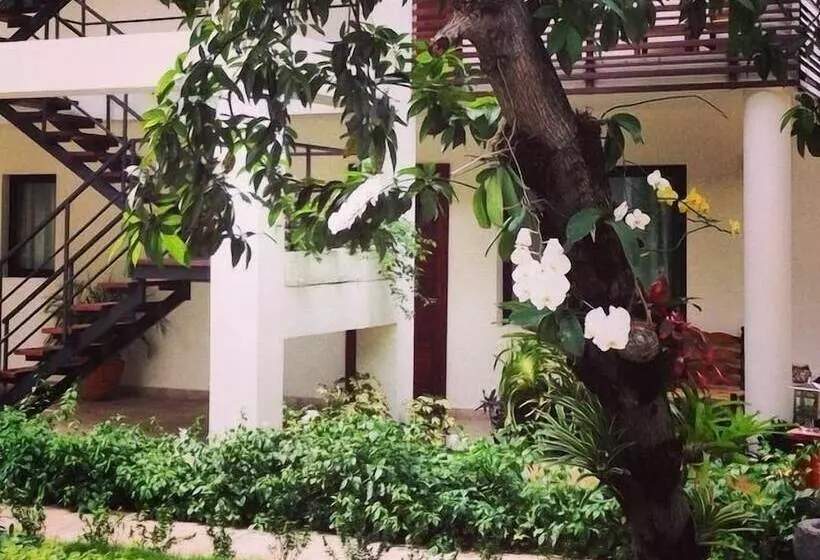 هتل Maxime Boutique