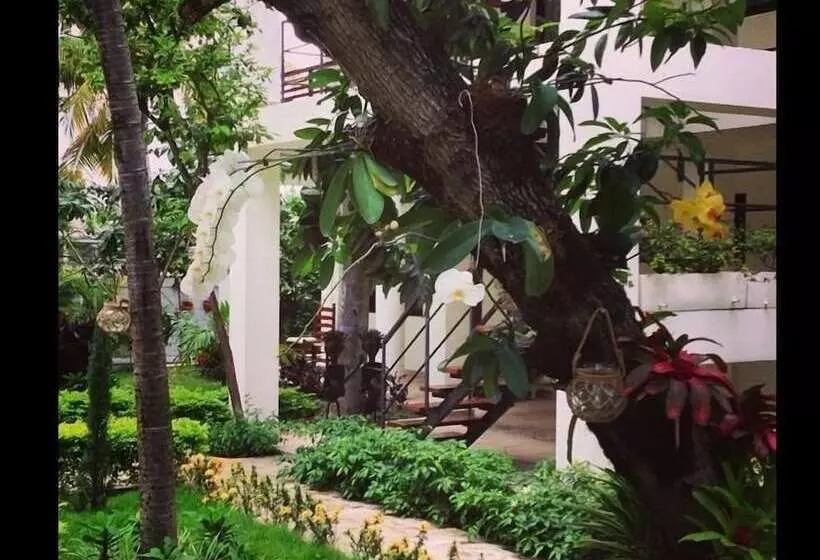 هتل Maxime Boutique