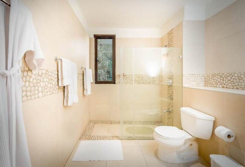 هتل Maxime Boutique