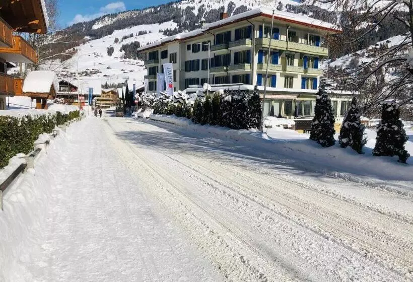 Parkhotel Bellevue Lenk