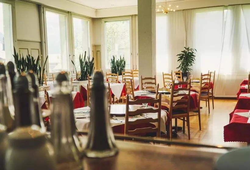 Parkhotel Bellevue Lenk