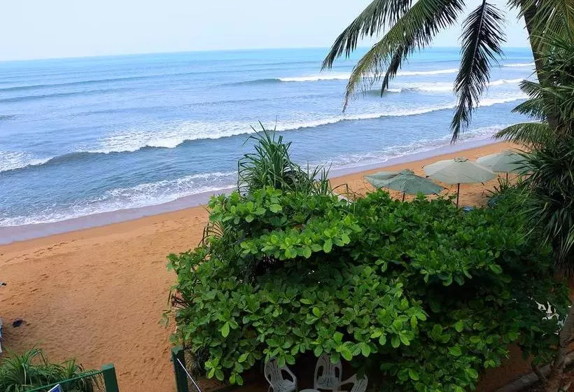 Отель Roy Villa Beach