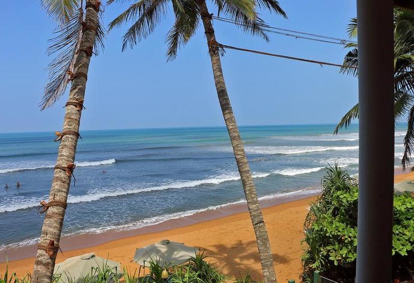 Отель Roy Villa Beach