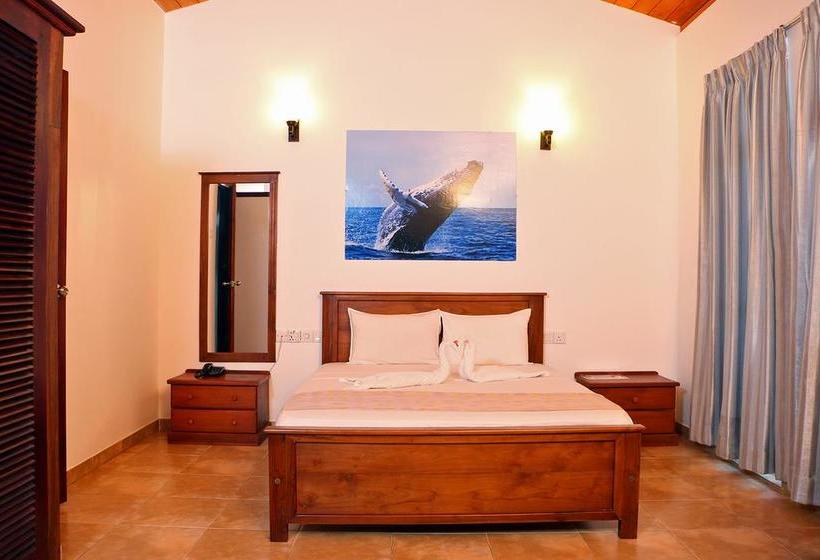 Отель Roy Villa Beach