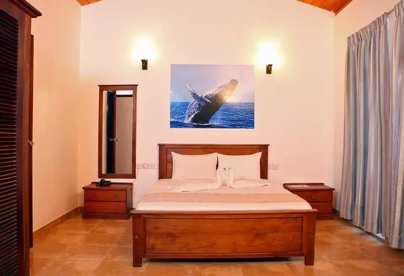 Отель Roy Villa Beach