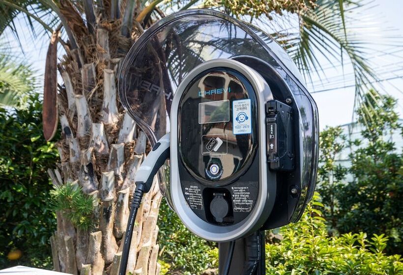 فندق The Bay Jeju Resort