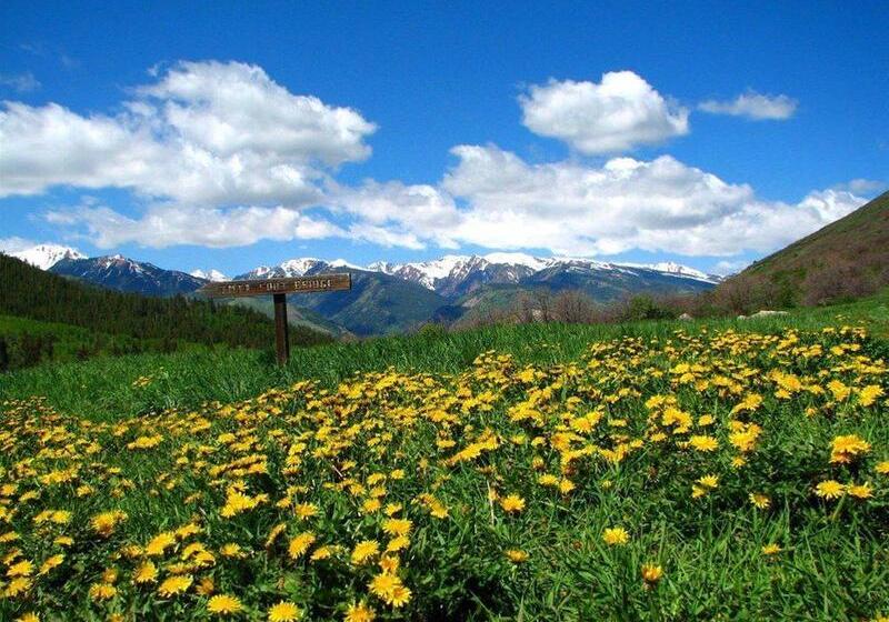 هتل Tyrolean Lodge