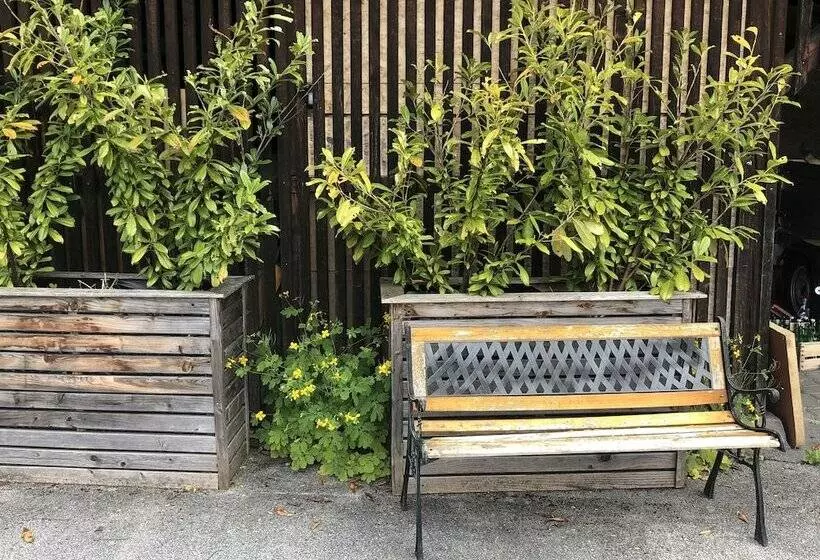 בית מלון כפרי Waldhof