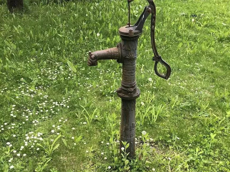 בית מלון כפרי Waldhof