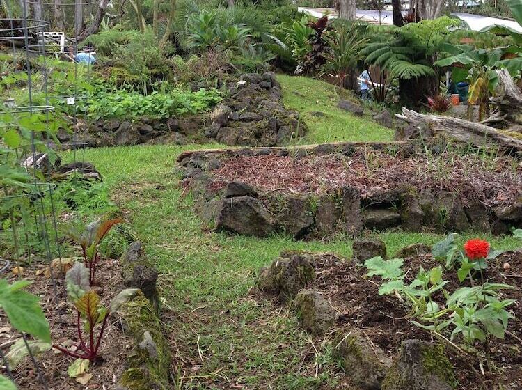 پانسیون Ixchel Hawaii