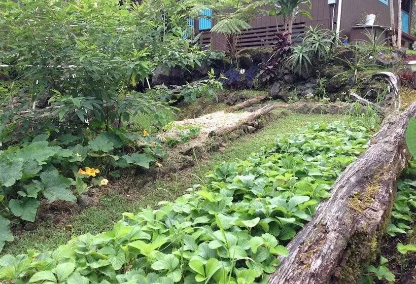 Majatalo Ixchel Hawaii