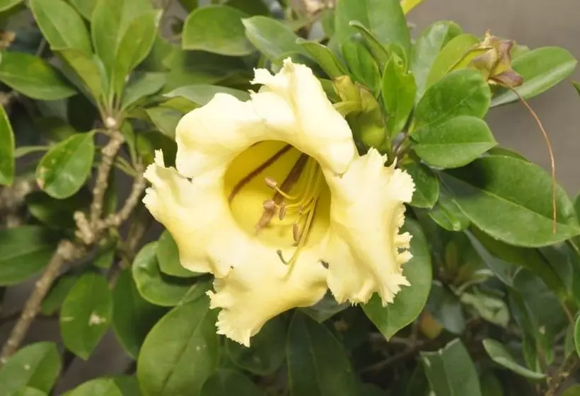 پانسیون Len & Leona Holiday Hideout