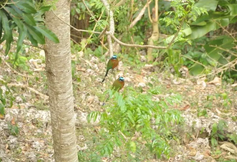 پانسیون Len & Leona Holiday Hideout