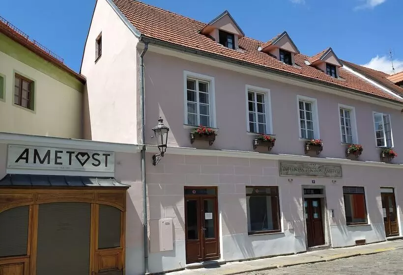 Wellness Pension Ametyst