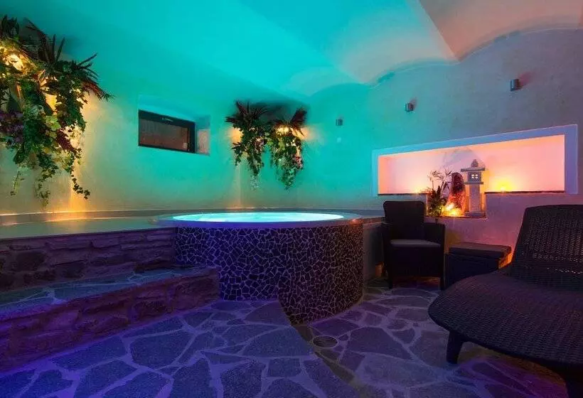 Wellness Pension Ametyst
