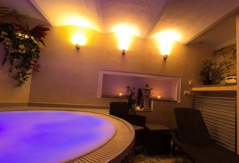 Wellness Pension Ametyst