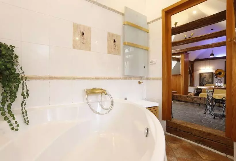 Wellness Pension Ametyst