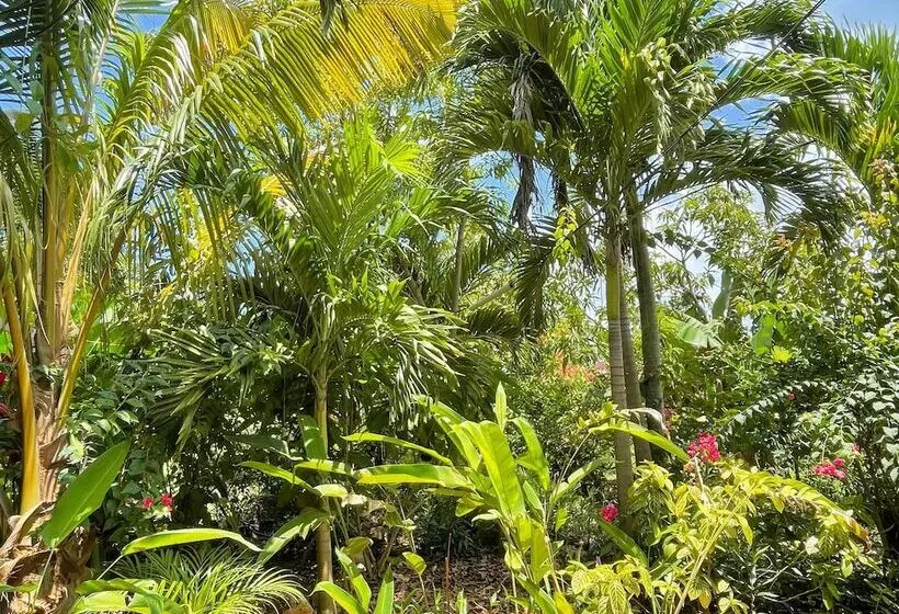 هاستل Judy House Cottages And Rooms