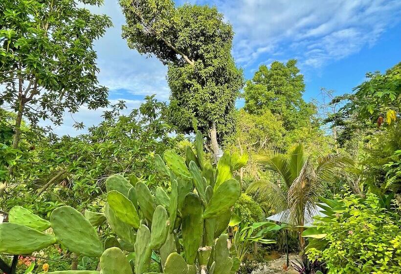 هاستل Judy House Cottages And Rooms