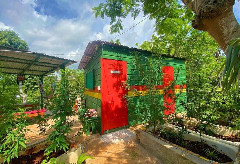 هاستل Judy House Cottages And Rooms