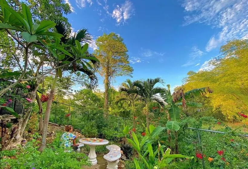 هاستل Judy House Cottages And Rooms