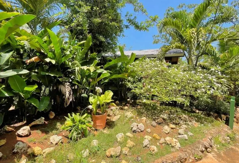 هاستل Judy House Cottages And Rooms