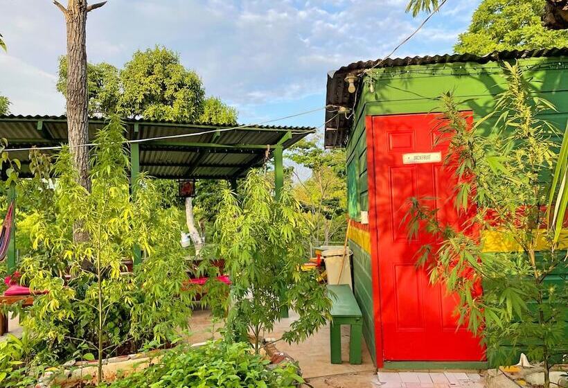 هاستل Judy House Cottages And Rooms