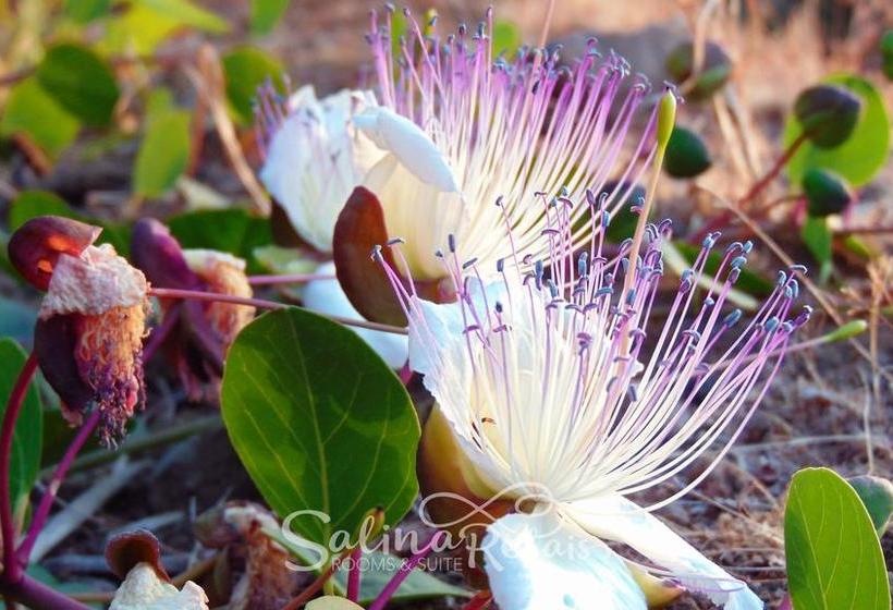 צימר Salinarelais Rooms&suite