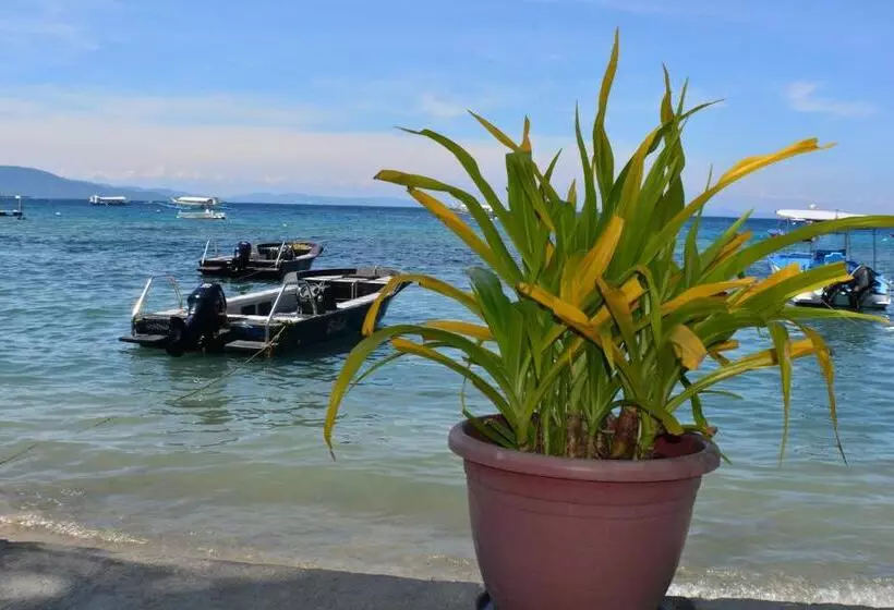 Captngreggs Dive Resort