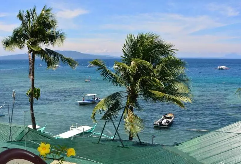 Captngreggs Dive Resort