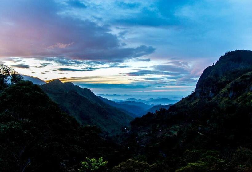 فندق The Pinnacle Ella