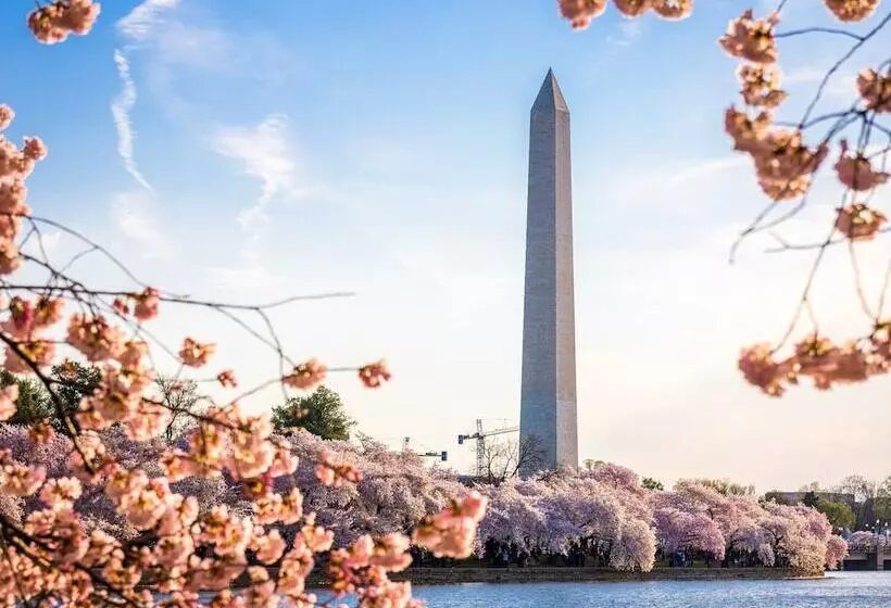 Отель Staybridge Suites Washington D.c.  Greenbelt, An Ihg