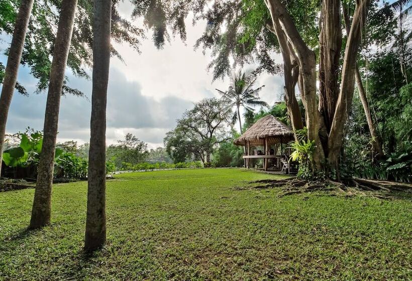 Kamaniiya River Villa Sayan   Ubud